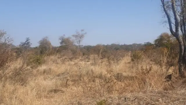 Farm/Plot for Sale in Selous