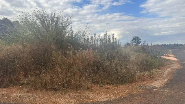 Residential Stand for Sale inPomona