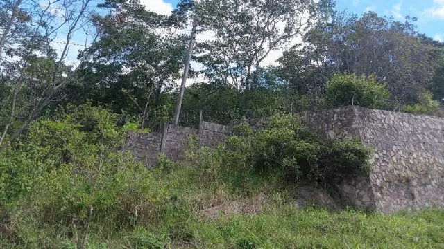 Residential Stand for Sale