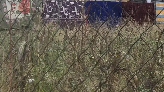 Residential Stand for Sale