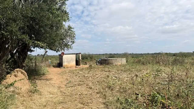 Farm/Plot for Sale
