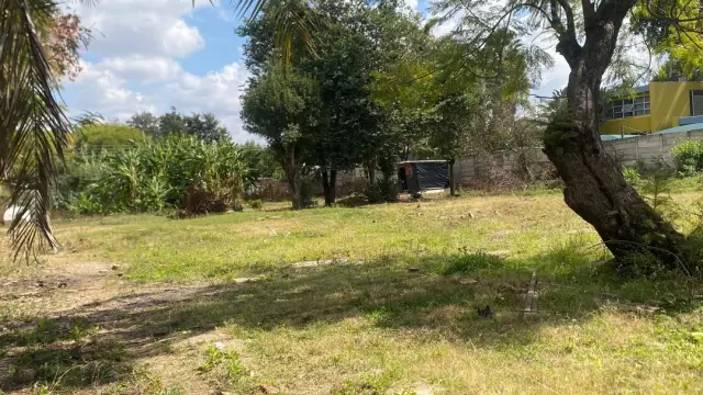 Commercial Stand for Sale in Avondale