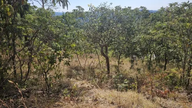 Residential Stand for Sale in Umwinsidale