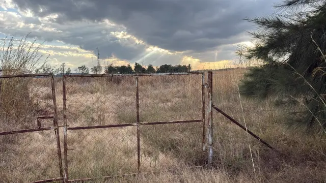 Farm/Plot for Sale