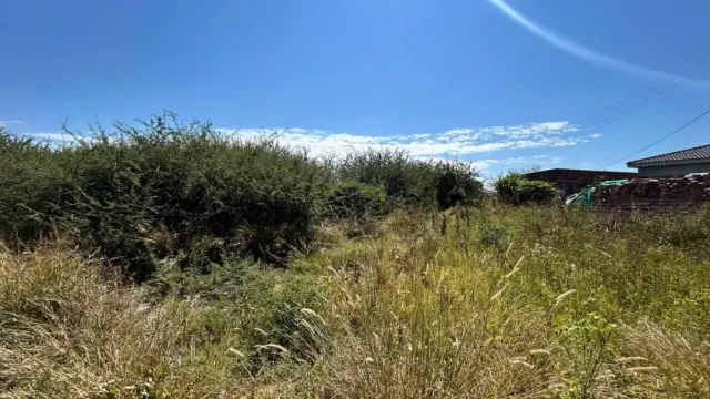 Residential Stand for Sale