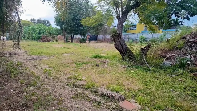 Commercial Stand for Sale in Avondale
