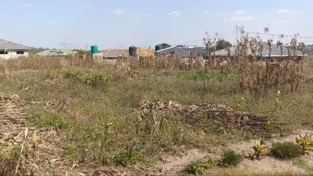 Residential Stand for Sale inDamofalls