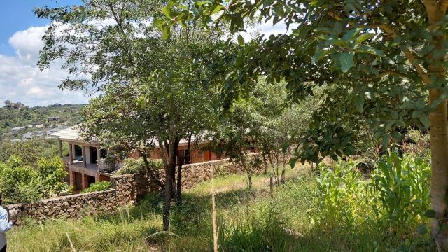 Stand for Sale in Crowhill Views