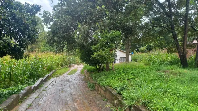 Residential Stand for Sale inGlen Lorne
