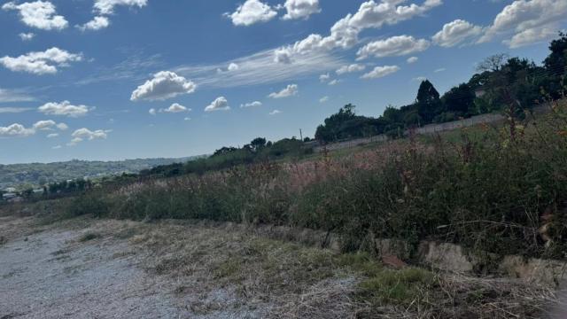 Stand for Sale in Quinnington