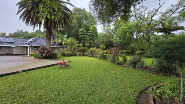 House to Rent in Marlborough