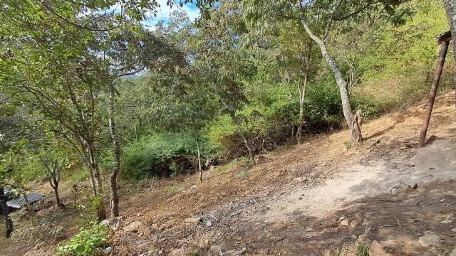 Stand for Sale in Glen Lorne