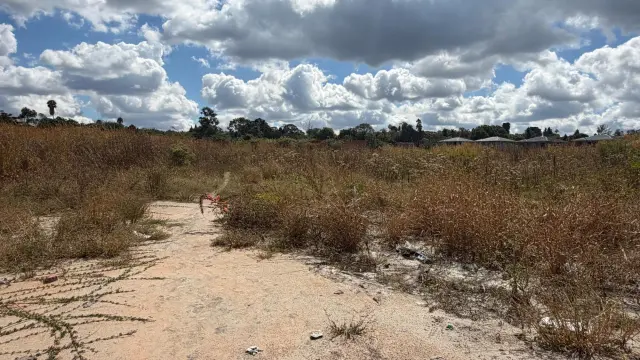 Commercial Stand for Sale in Greendale