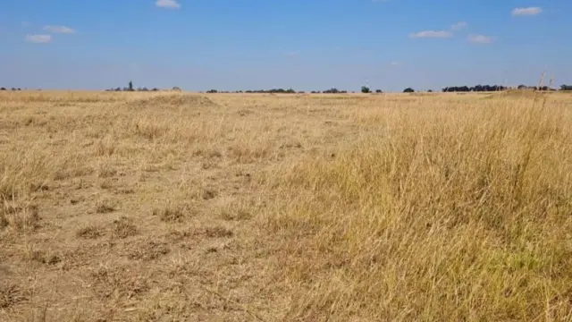 Farm/Plot for Sale in Nyabira