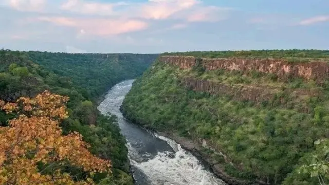 Commercial Stand for Sale in Victoria Falls