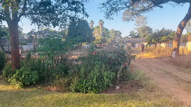 Residential Stand for Sale in Quinnington