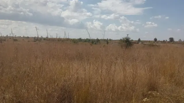 Residential Stand for Sale in Nyabira