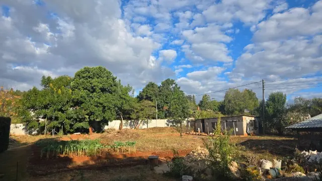 Residential Stand for Sale in Quinnington