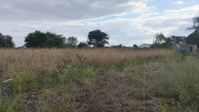 Farm/Plot for Sale in Trenance