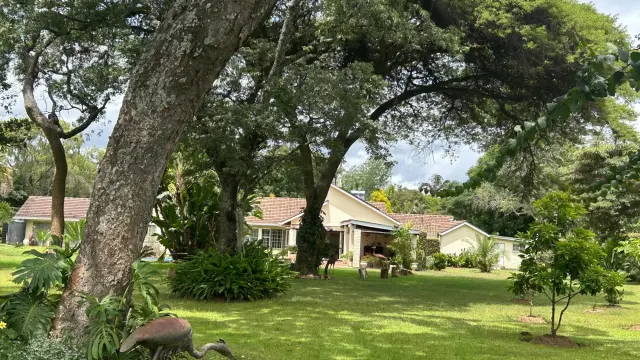 House to Rent in Borrowdale