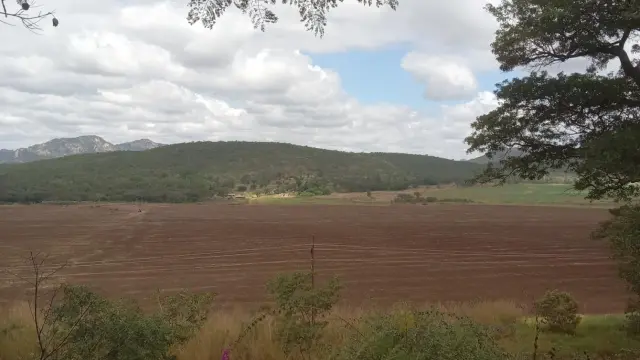 Farm/Plot for Sale in Glendale