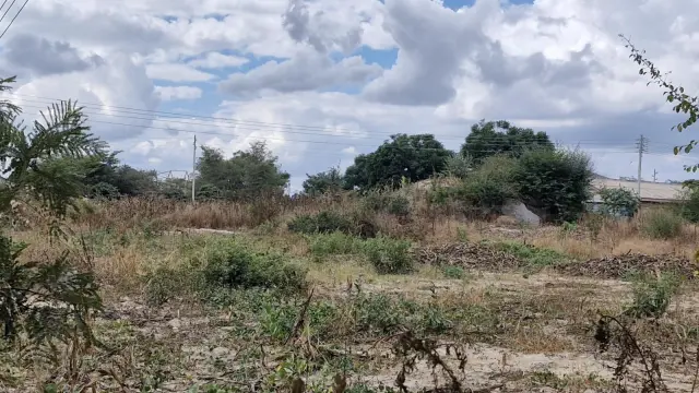 Residential Stand for Sale in Southlea Park