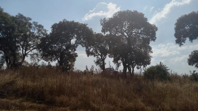 Stand for Sale in Nyabira