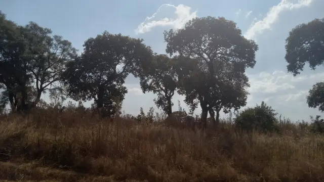 Farm/Plot for Sale in Nyabira