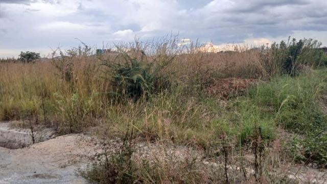 Stand for Sale in Nyabira