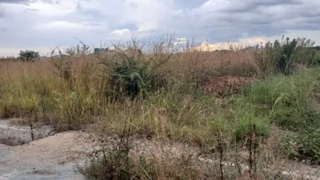 Residential Stand for Sale in Nyabira