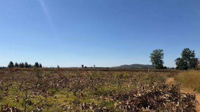 Stand for Sale in Mount Hampden