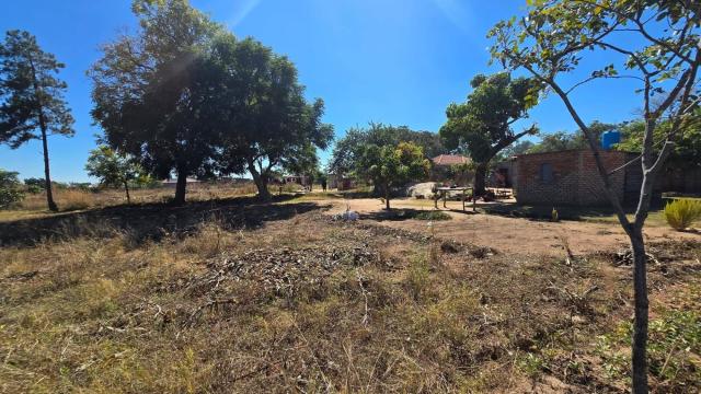 Stand for Sale in Chadcombe