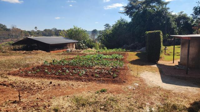 Stand for Sale in Helensvale