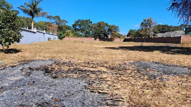 Stand for Sale in Glen Lorne