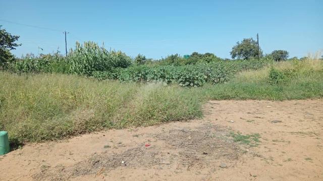 Stand for Sale in Plumtree