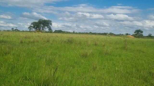 Stand for Sale in Mhangura