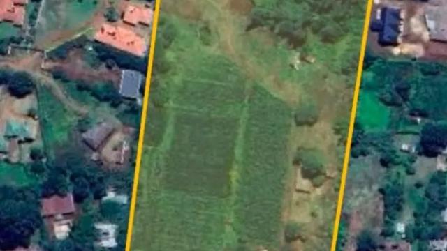 Stand for Sale in Marlborough