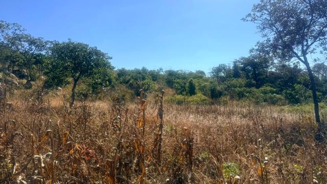 Stand for Sale in Crowhill Views