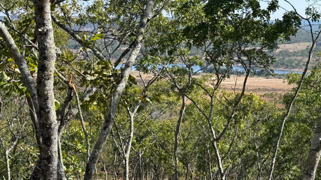 Stand for Sale in Goromonzi