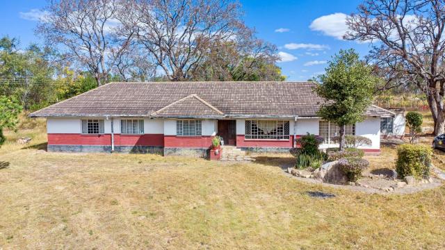 Stand for Sale in Arcturus