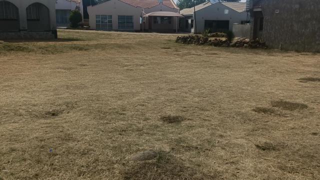 Stand for Sale in Bluff Hill