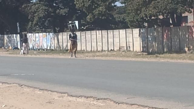 Stand for Sale in Chitungwiza