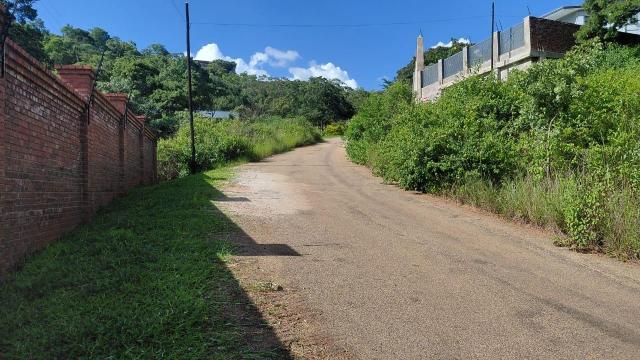 Stand for Sale in Glen Lorne