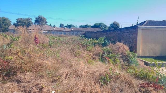 Stand for Sale in Zimre Park