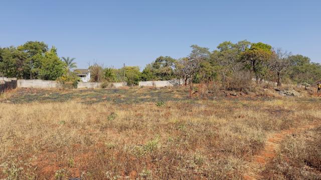 Stand for Sale in Mandara