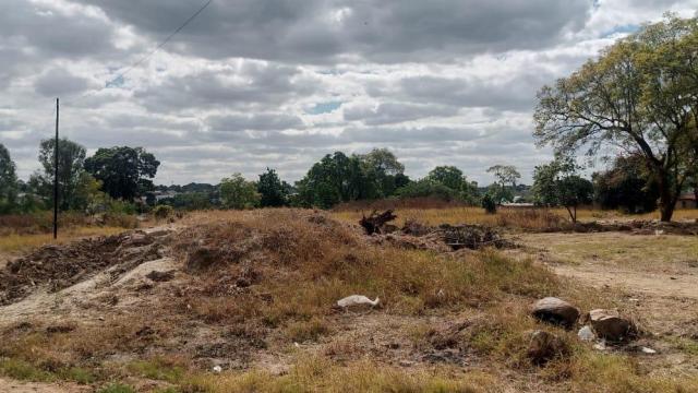 Stand for Sale in Southview Park