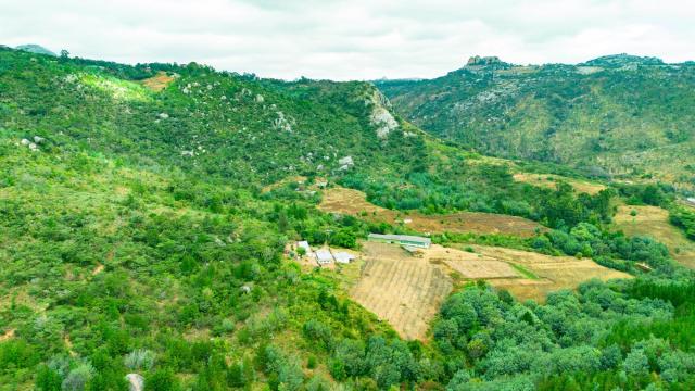 Stand for Sale in Juliasdale