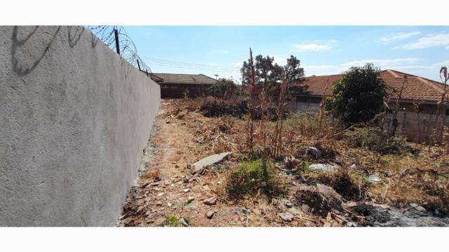 Stand for Sale in Cold Comfort