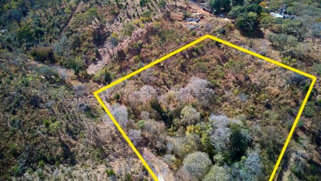 Stand for Sale in Helensvale