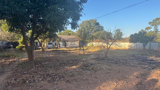 Stand for Sale in Quinnington